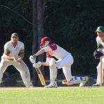 cricket_260959_04.JPG