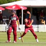 cricket_261902_02.jpg