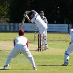 cricket_261918_01.jpg