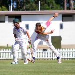 cricket_262964_02.jpg
