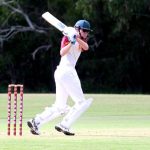 cricket_262964_03.jpg
