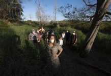 Doonella foreshore plan pushed back