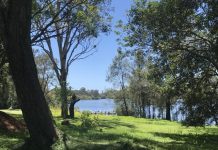 Long haul for foreshore