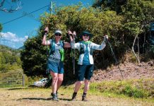 Go green this Christmas