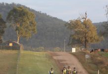 Getting started in equestrian endurance riding