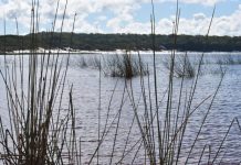 Cabinet papers released 30 years on