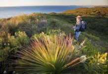 Can the dream be rekindled?