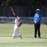 cricket_264913_04.JPG