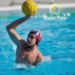 polo_264875_01.jpg