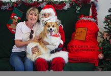 Santa paws helps Story Dogs