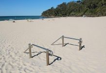 Main Beach – survival story