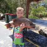 Fishing_266572_01.png
