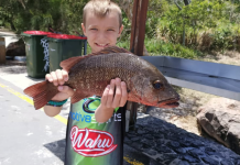 Aussie Day perfection