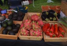 Farmers market opens Monday