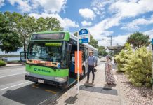 Free local buses every weekend in Noosa