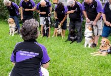 ‘Pawsome’ volunteers needed for local dog rescue charity