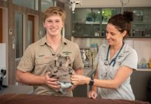 New care facility for injured wildlife