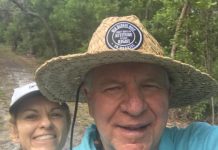 The view from Teewah