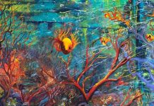 Burst of colour at Pomona Gallery