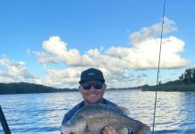 Wild winds and big fish