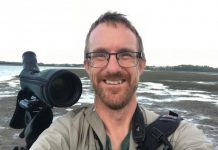 Seabirds of the Sunshine Coast