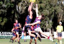 Tigers roar into action