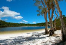 The battle of Poona Lake