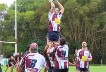 Dolphin’s pre-season victory