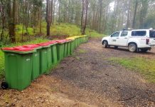 Noosa still in the firing line