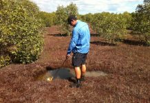 How you can help reduce those annoying mozzies breeding