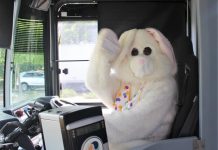 Hop on a free bus this Easter