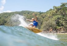 Festival 31 done, dusted