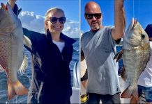 Mid week spoils ahead