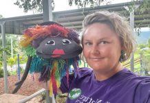 Oyster restoration update