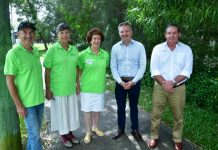 Community battery for Noosaville