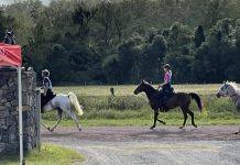 Forest fix delivers good news for endurance riders