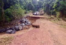 Forestry roads treacherous after floods