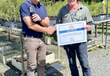 New funding to protect Noosa’s koalas