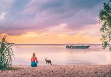 Habitat Noosa’s Ecocamp is the ultimate experience