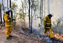 Planned burns begin this month