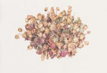 Opportunities for Noosa artists