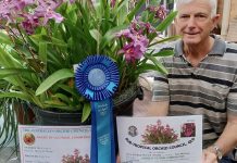 Orchids for Mothers Day