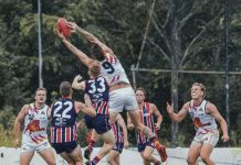 Tigers make it two on the trot