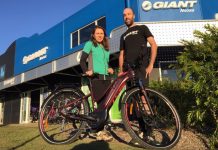 Trees and solar panels: getting the best of both worlds