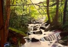 Jo Gabe exhibits in Tewantin