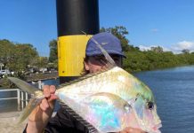 Happy holidays for fishing