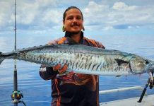 Holy mackerel – government opens up on fishery
