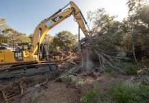 Blue Care request development extension