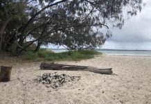 Inskip camp numbers ’under review’