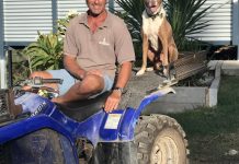 Dog days at The Summit